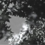 http://test.lightizm.com/files/gimgs/th-76_71_Nostalgia2_v2.jpg
